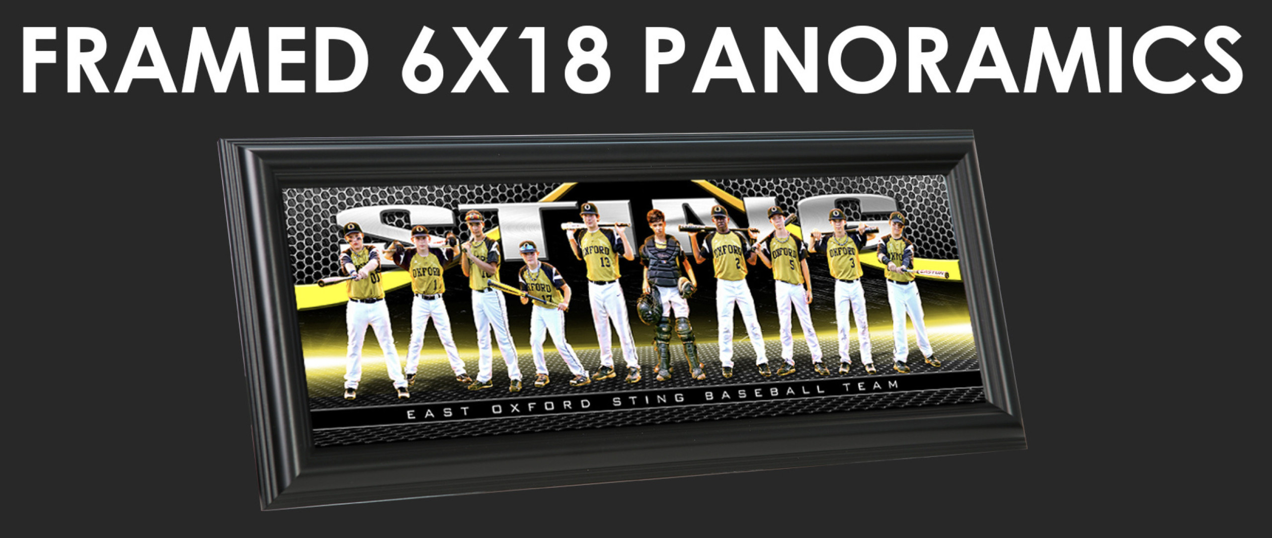 Are You Leaving $700 on the Field After Every Banner Shoot? 1 Baseball Team Banner - Psu Education