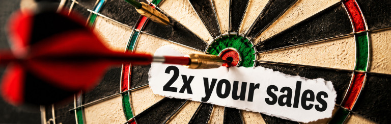 Double Your Sales Without Becoming A Salesperson